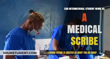 Working as a Medical Scribe: Options for International Students