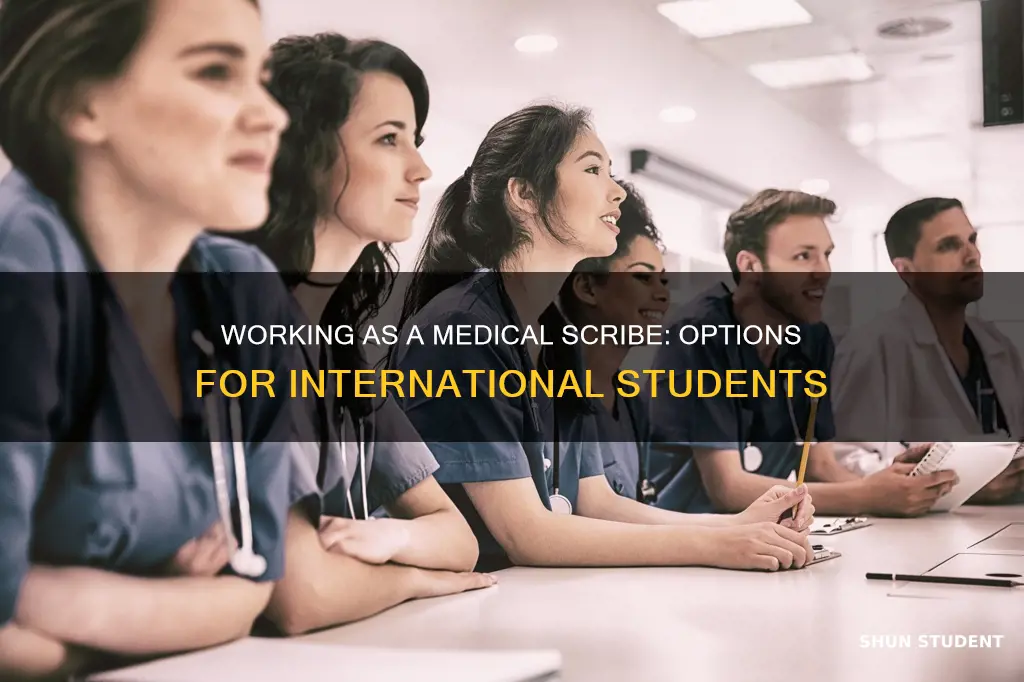 can international student work as a medical scribe