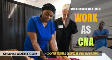 International Students as CNAs: Is It Possible?