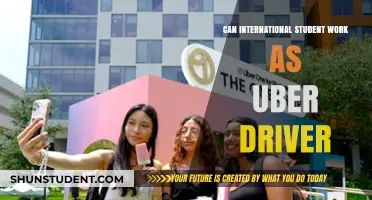 International Students: Can They Drive for Uber?