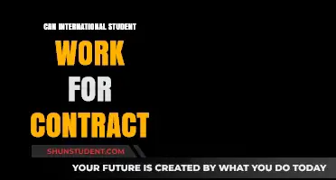 Working While Studying: International Student Contracts