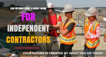 Working as an International Student: Independent Contractor Options