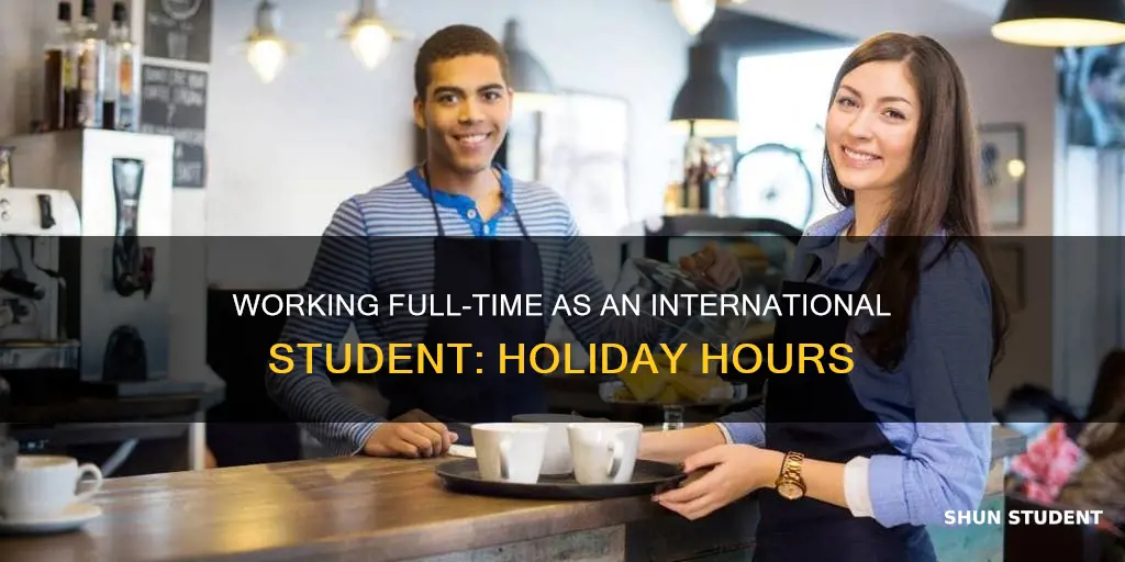 can international student work full time during holidays