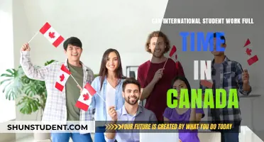 Working Full-Time in Canada: Options for International Students