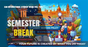 International Students: Work Full Time During Semester Breaks?