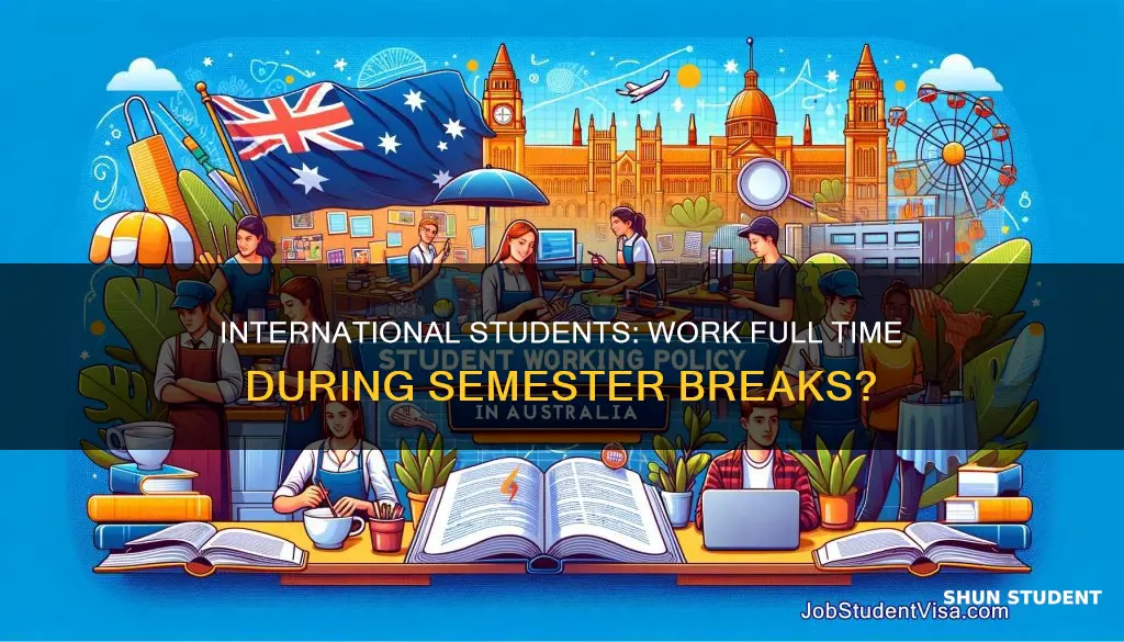 can international student work full time in semester break