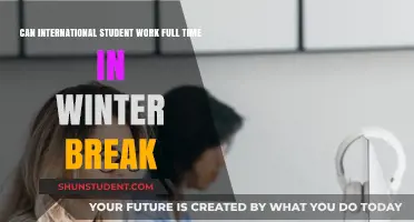 International Students: Work Full-Time During Winter Break?