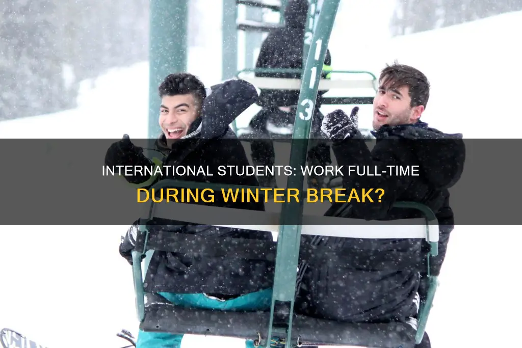 can international student work full time in winter break