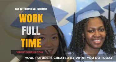 Full-Time Work Options for International Students
