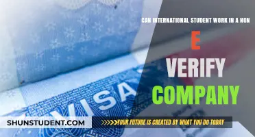 International Students: Work Options Beyond E-Verify