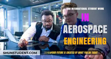 Working in Aerospace: International Student Opportunities