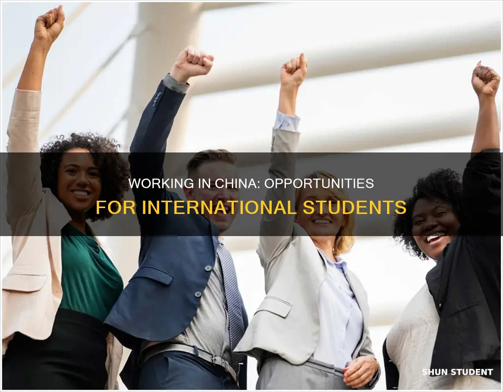 can international student work in china