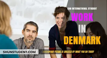 Work in Denmark: International Student Opportunities