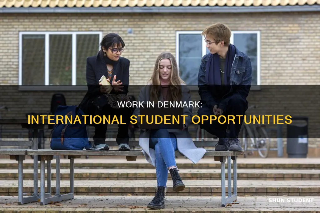 can international student work in denmark