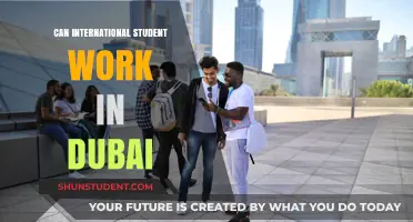 Work in Dubai: International Students' Guide