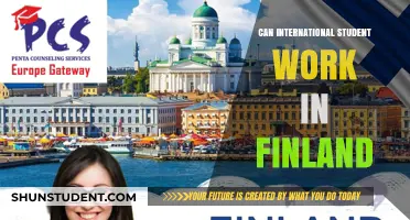 Working in Finland: Opportunities for International Students