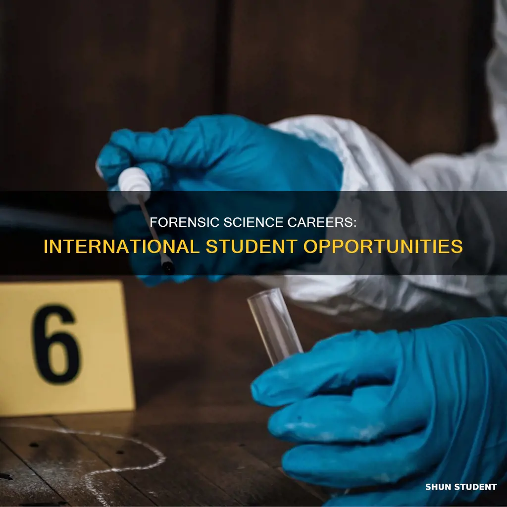 can international student work in forensic scientist