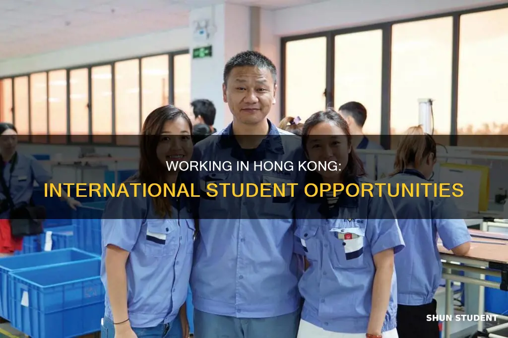can international student work in hong kong