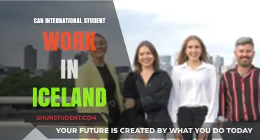 Working in Iceland: Opportunities for International Students