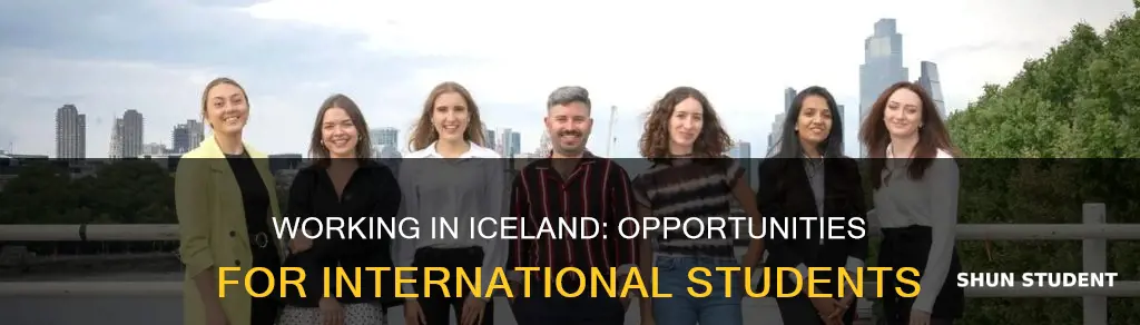 can international student work in iceland