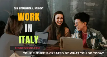 International Students Working in Italy: Is It Possible?