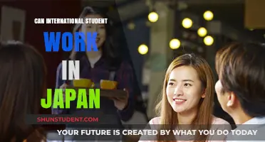 Working in Japan: Opportunities for International Students