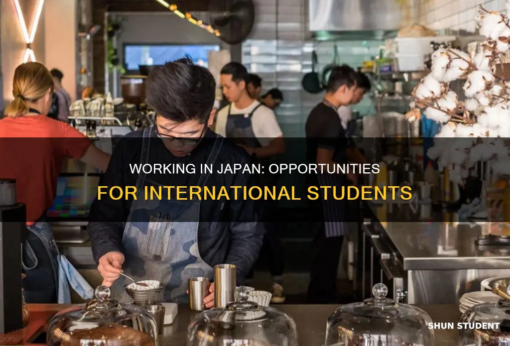 can international student work in japan