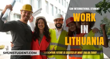 Working in Lithuania: Opportunities for International Students