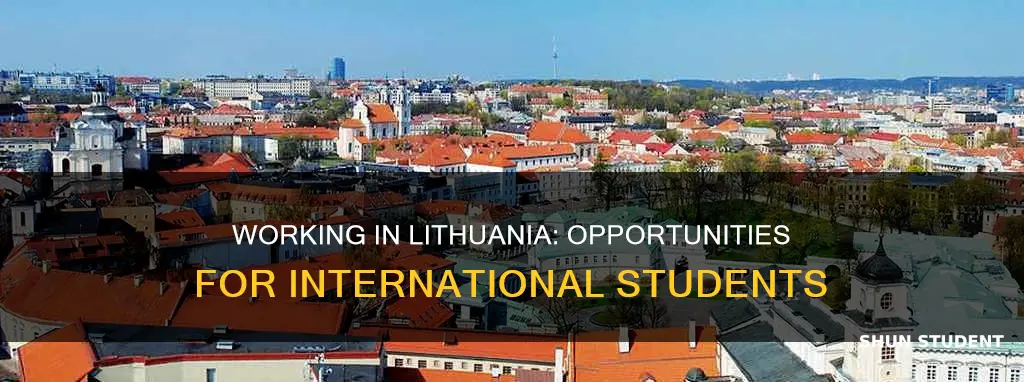 can international student work in lithuania