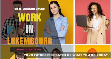 Working in Luxembourg: International Student Opportunities