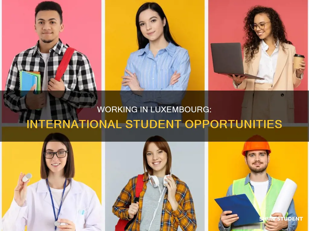 can international student work in luxembourg