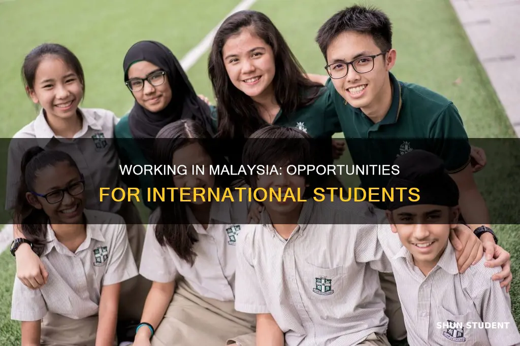 can international student work in malaysia