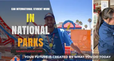 Working in National Parks: Opportunities for International Students