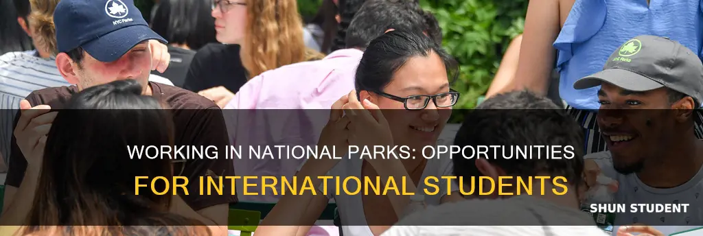 can international student work in national parks