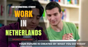Working in the Netherlands as an International Student