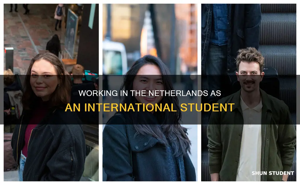 can international student work in netherlands