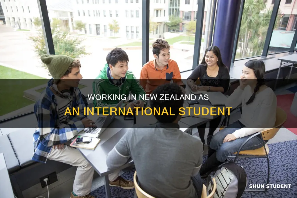 can international student work in new zealand