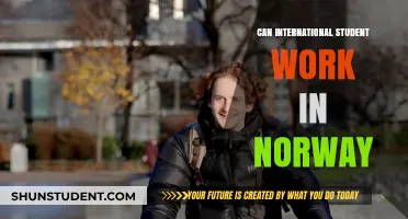 Working in Norway as an International Student