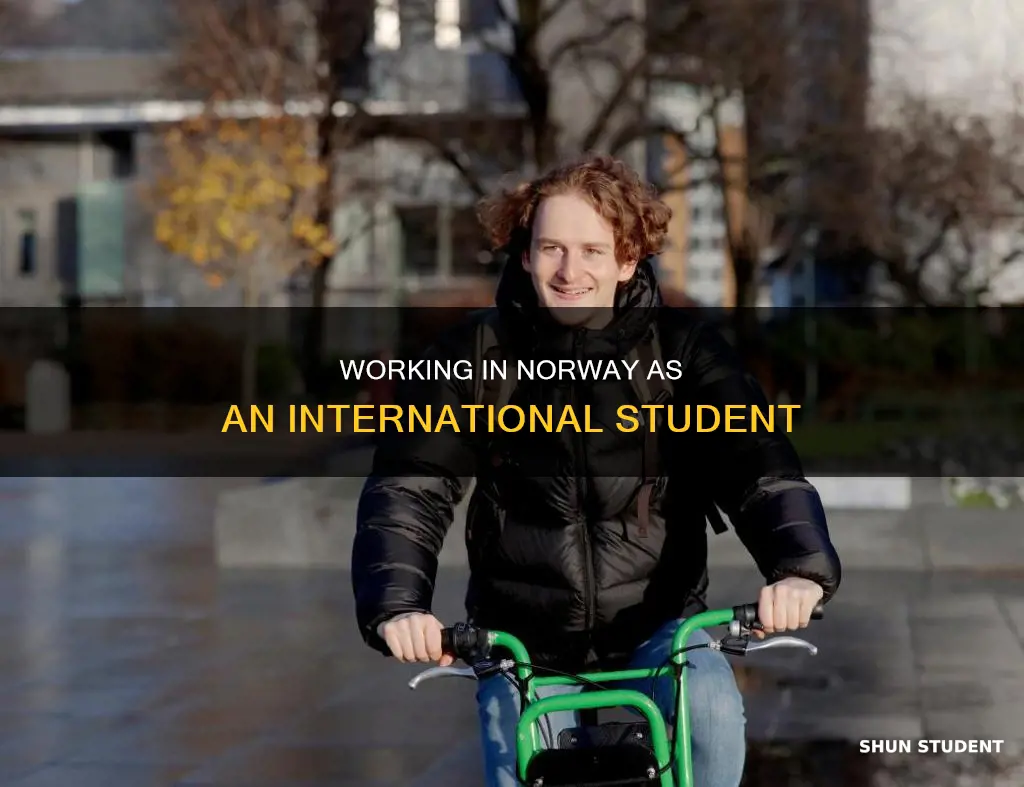 can international student work in norway