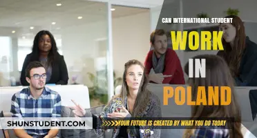 Working in Poland: International Student Opportunities