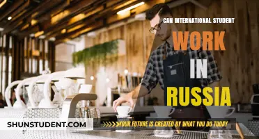 Working in Russia: Opportunities for International Students