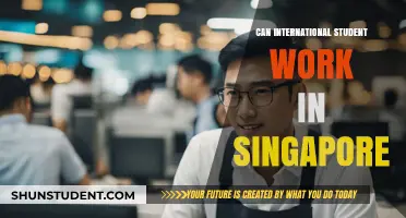 Working in Singapore: International Student Opportunities