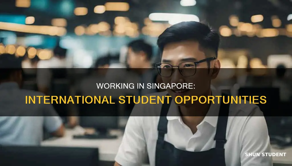 can international student work in singapore