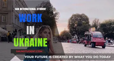 International Students Working in Ukraine: What's the Deal?