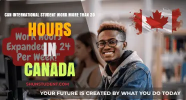 Working in Canada: International Student Rights Explained
