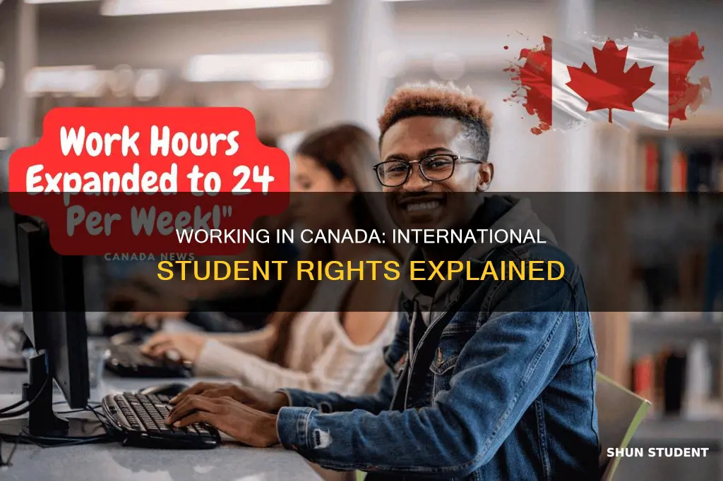 can international student work more than 20 hours in canada