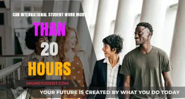 Working Hours for International Students: Rules and Exceptions