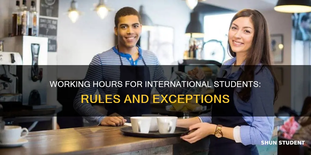 can international student work more than 20 hours