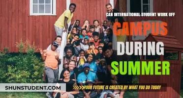 Working Off-Campus: International Students' Summer Opportunities