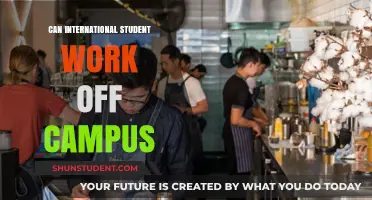 Working Off-Campus: International Students' Guide
